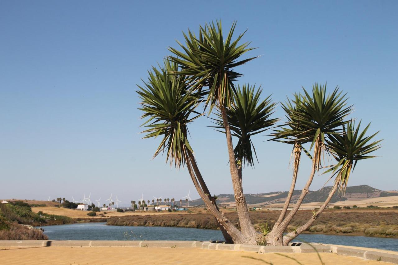 Apartamento Velarde Conil De La Frontera Dış mekan fotoğraf