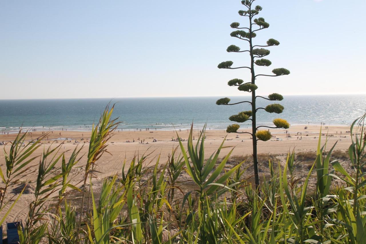 Apartamento Velarde Conil De La Frontera Dış mekan fotoğraf